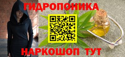 прущие грибы Чебоксары