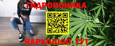 прущие грибы Чебоксары