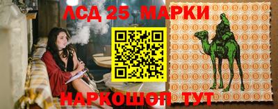 гидропоника Чапаевск