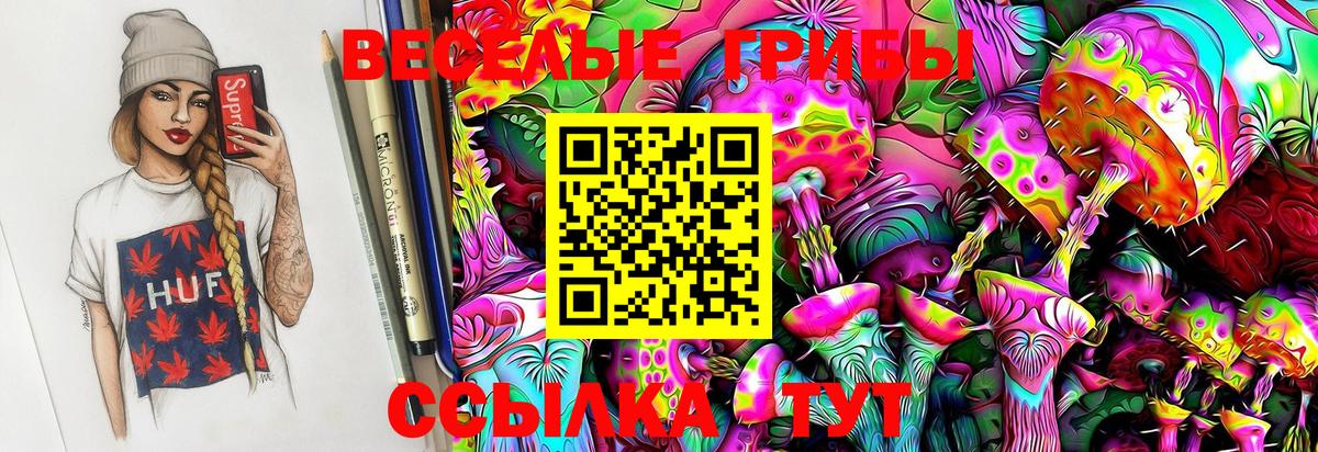 Псилоцибиновые грибы GOLDEN TEACHER Белая Калитва